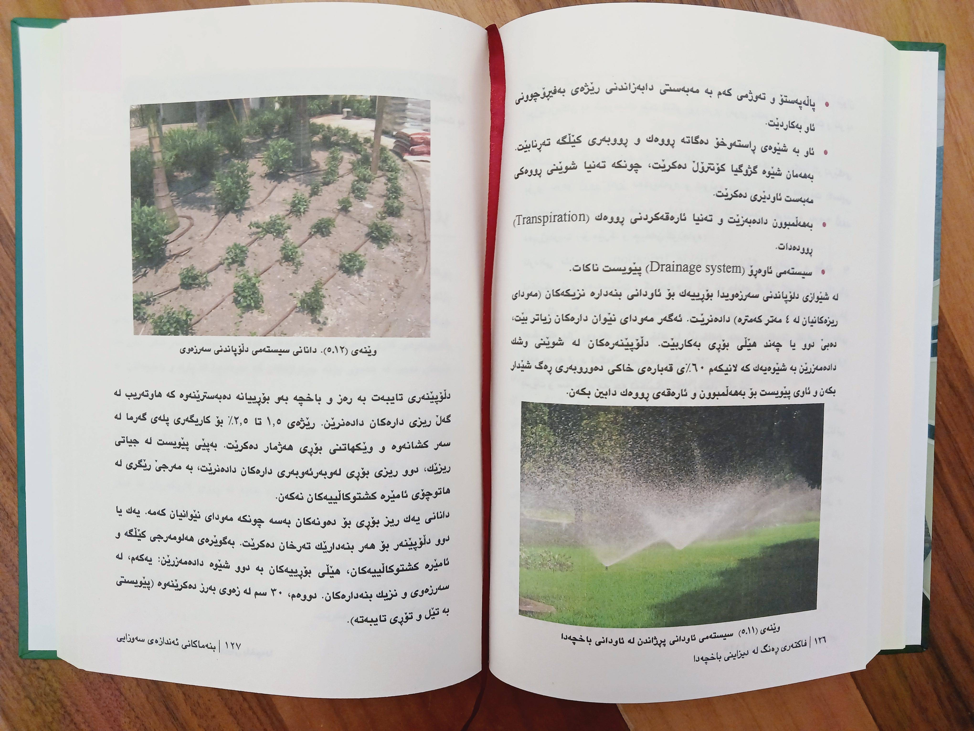                                         بنەماکانی ئەندازەی سەوزایی  