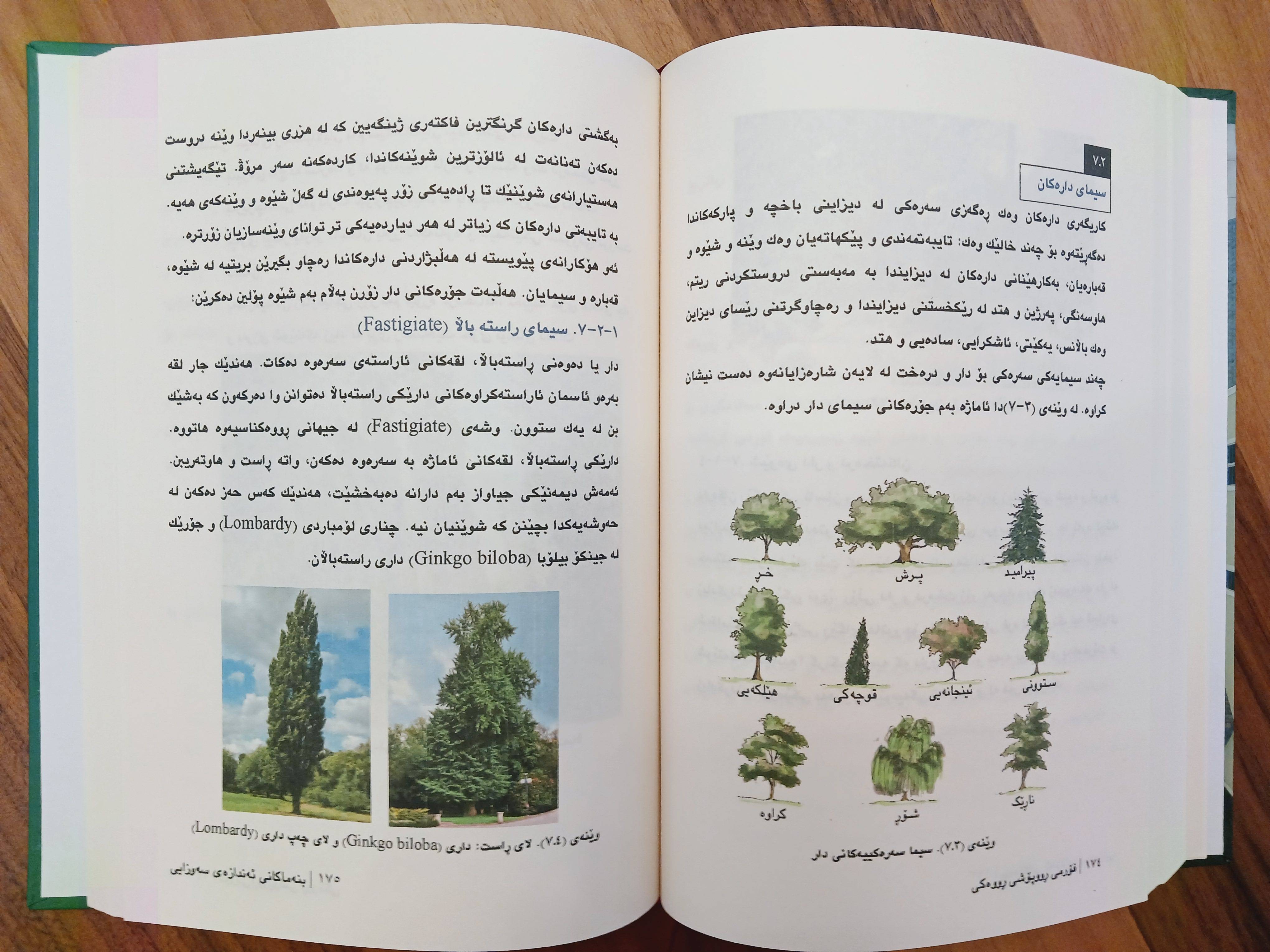                                         بنەماکانی ئەندازەی سەوزایی  