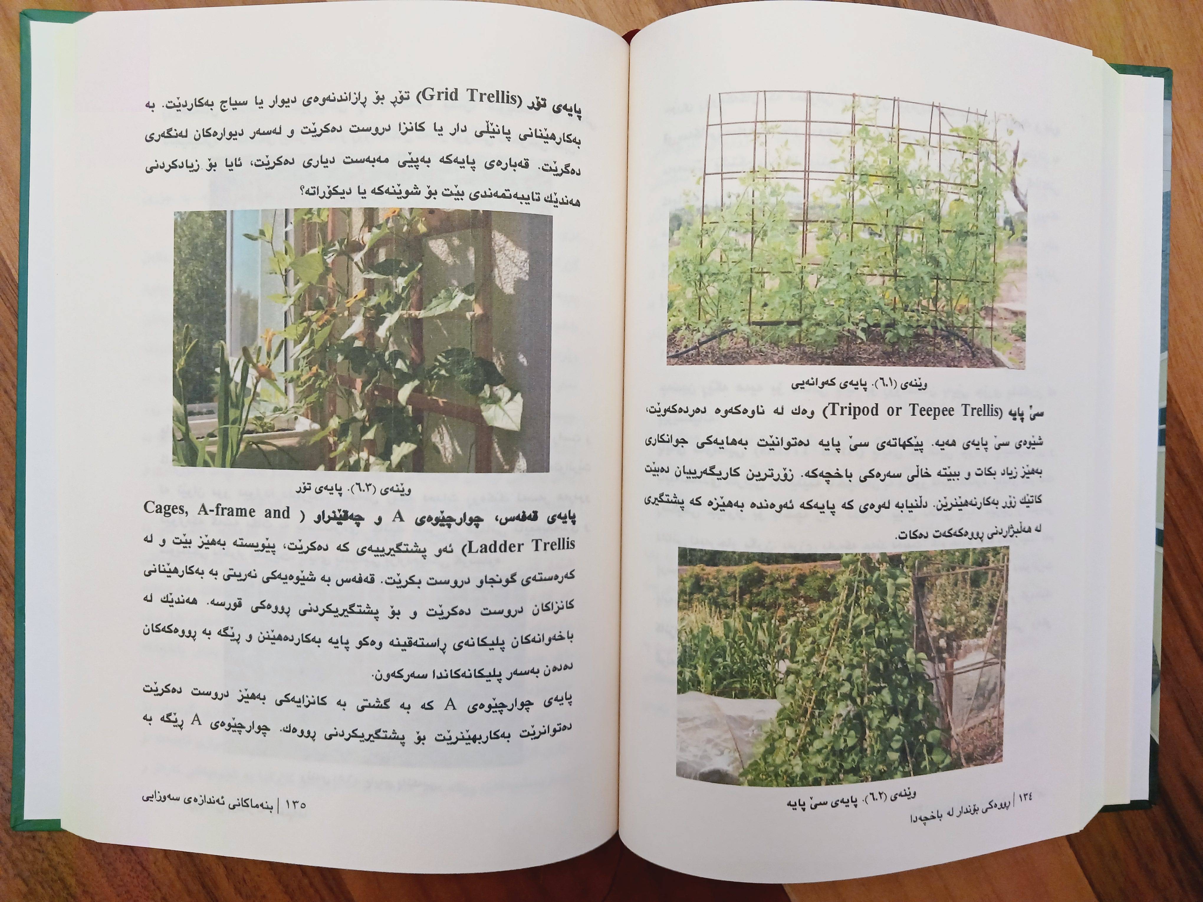                                         بنەماکانی ئەندازەی سەوزایی  