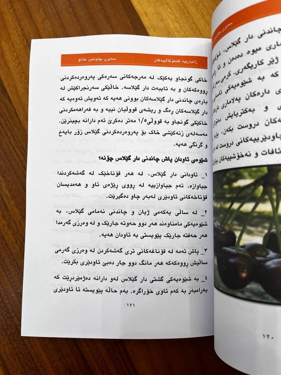 زانیارییە کشتوکاڵییەکان 