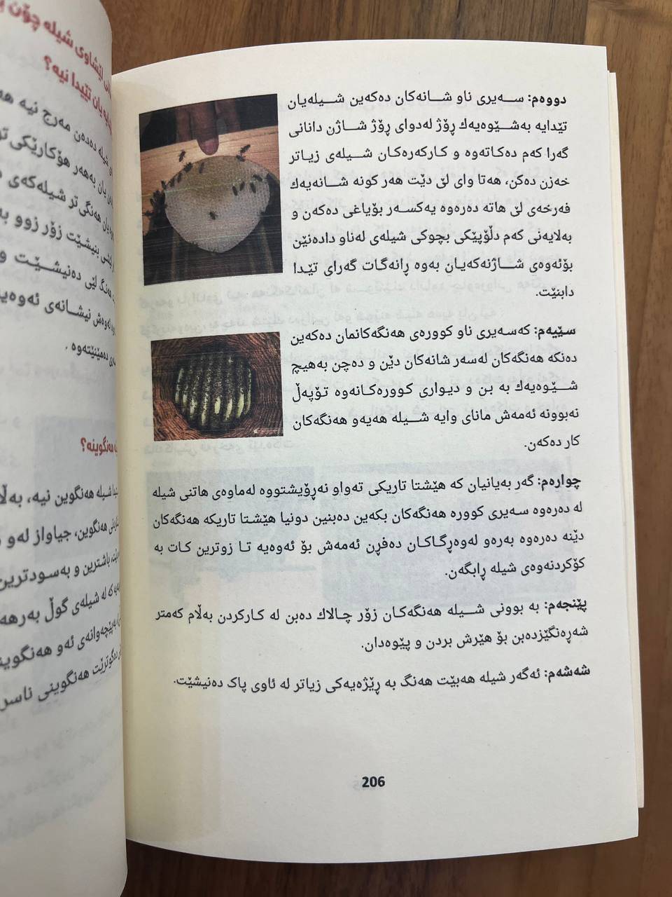 هەنگ و هەنگەوانی