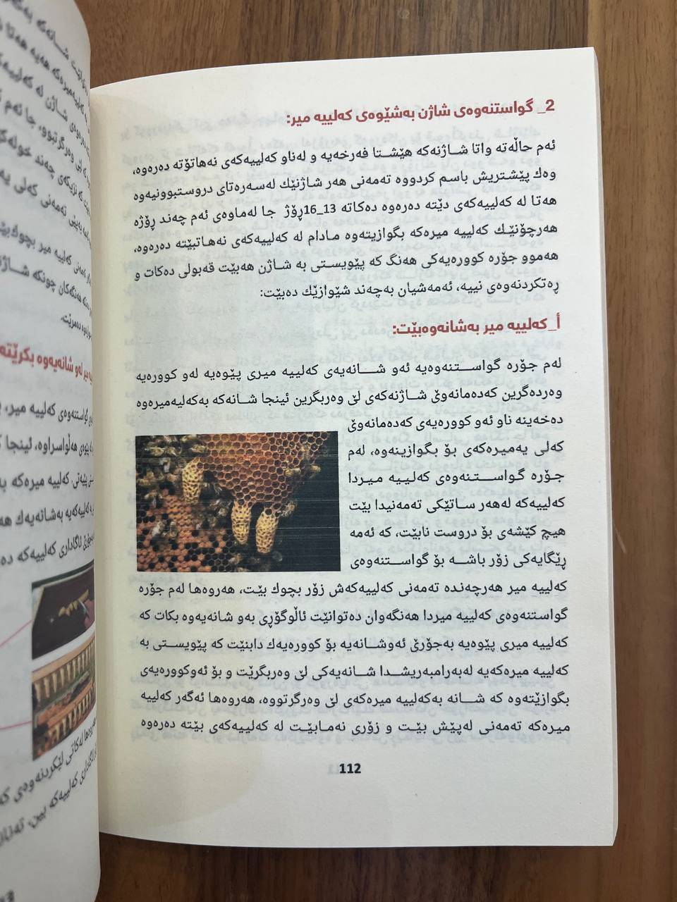 هەنگ و هەنگەوانی